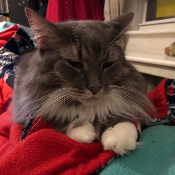 Welcome! - Picture 3 of 5